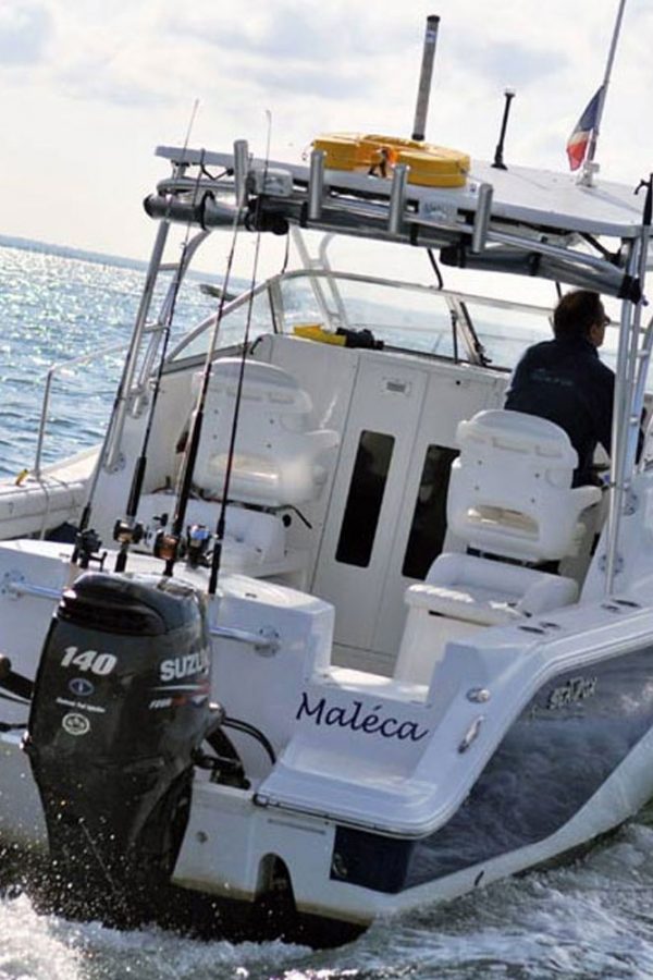 Sea Fox 256 WA à vendre