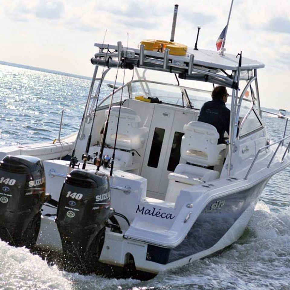 Sea Fox 256 WA à vendre
