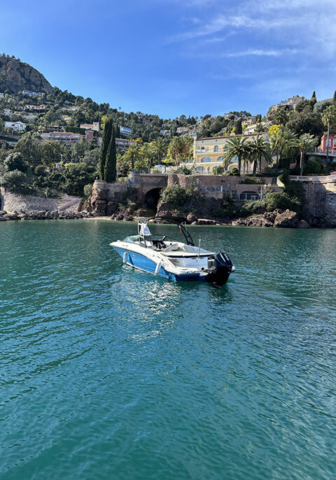 Sea Ray 210 SDX Tour de Wake à louer à Mandelieu